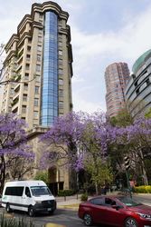 Calzada Tlalpan