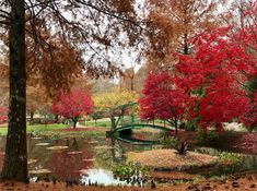 Cherokee County Homes