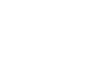 Logo White