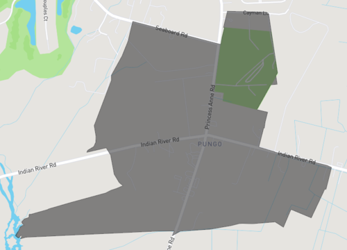 pungo.png