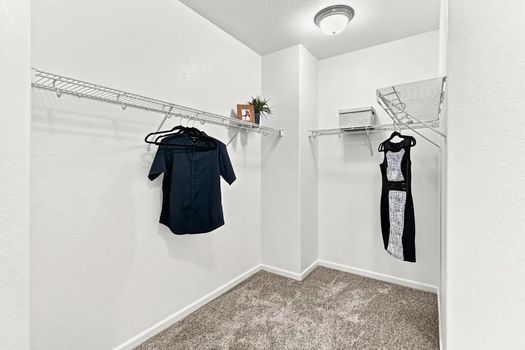 4166 Torrazzo Way (38)
