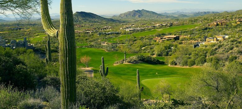 Desert Mountain