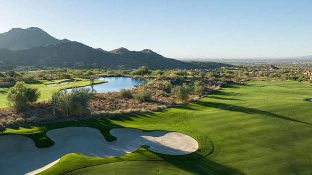 Silverleaf
