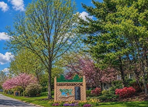 Chesterbrook New