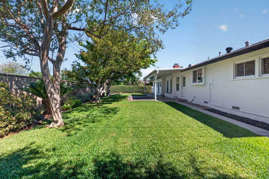 Rear Yard Side View