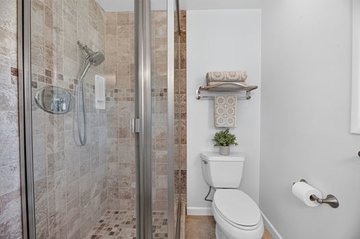 primary bath toilet shower view