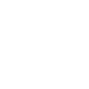 Logo White