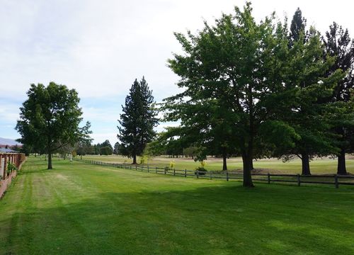 Beautiful landscape with blue sky and green grass