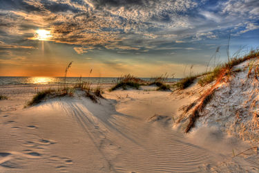 Sugar Sand