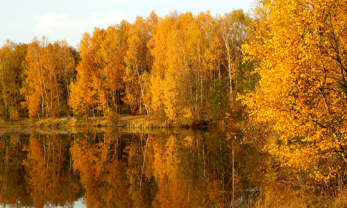 September in the Mountains: Early Fall Around Murphy, &hellip;