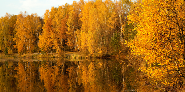 September in the Mountains: Early Fall Around Murphy, &hellip;