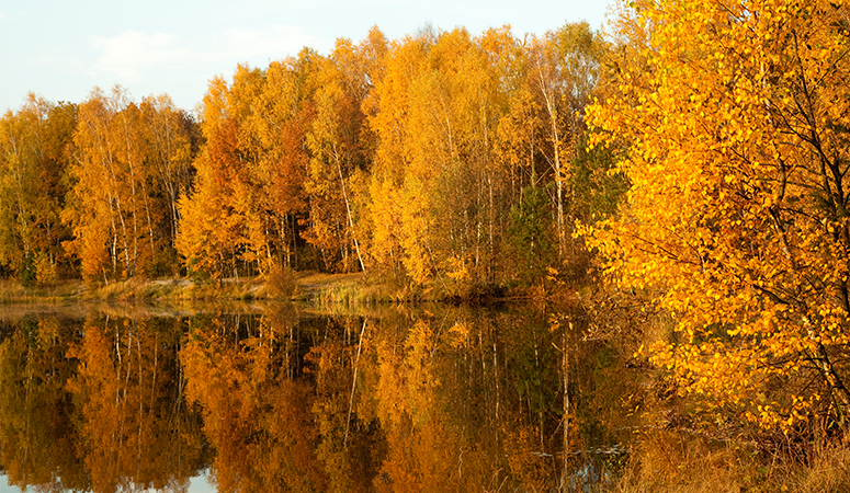 Fall things to do around Murphy NC