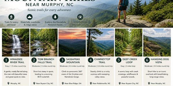 Short & Scenic Trails for Easygoing Mountain Walks