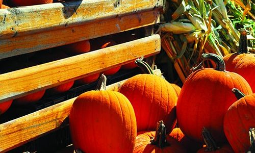 The First Week of Fall in the North &hellip;
