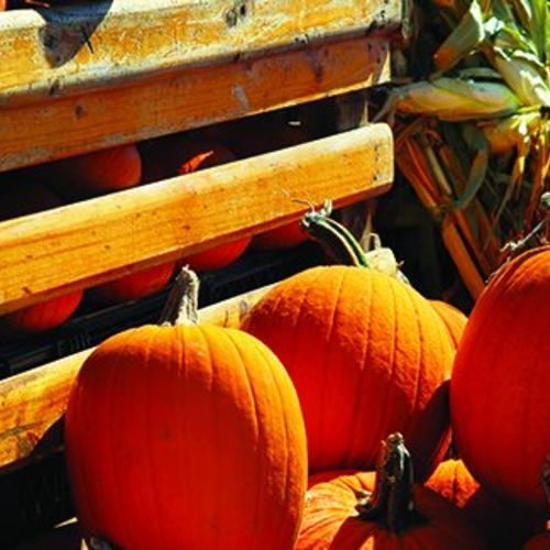 The First Week of Fall in the North Carolina Mountains: Signs the Season Is Turning