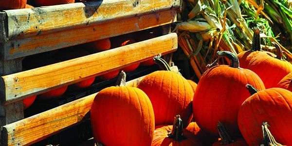 The First Week of Fall in the North &hellip;