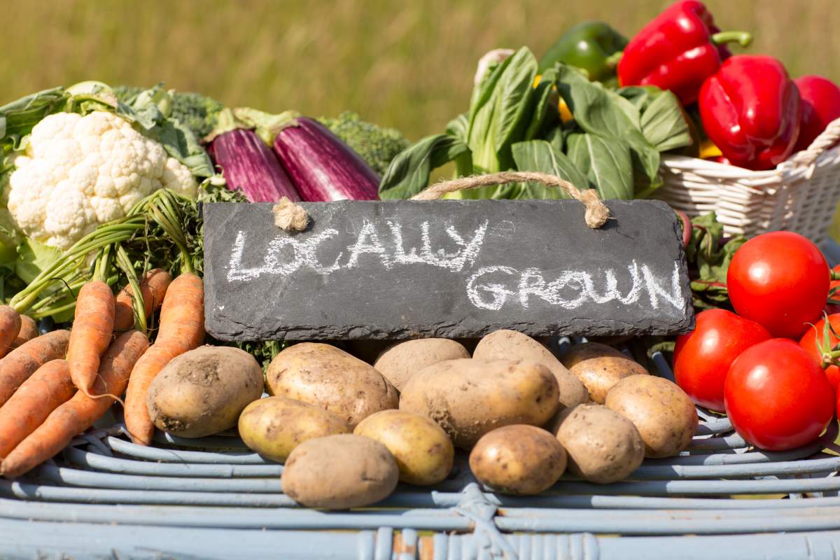 Farmers markets around Western NC Mountains
