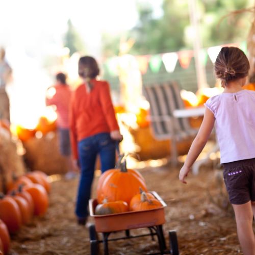 October 2026 in Murphy, NC: Fall Events Calendar