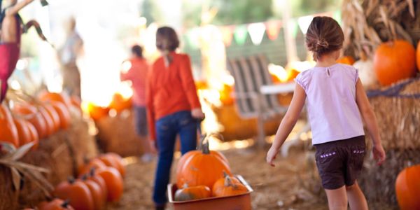 October 2026 in Murphy, NC: Fall Events Calendar