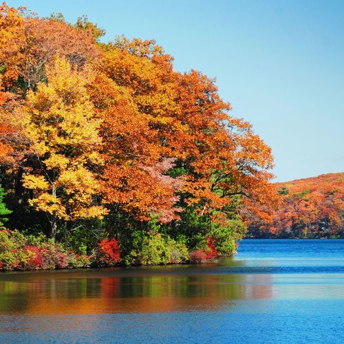 How Much Does a Lake Home Cost Near Murphy, NC? What Shapes the Price