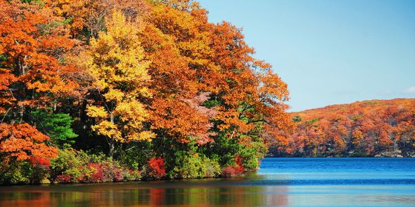 How Much Does a Lake Home Cost Near &hellip;