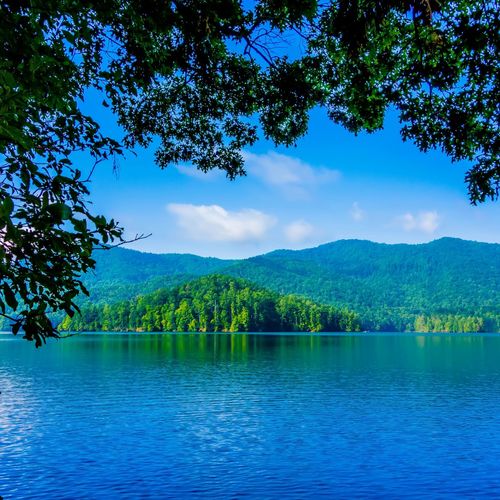 What TVA's Winter Drawdown Means for Lake Homes Near Murphy, NC