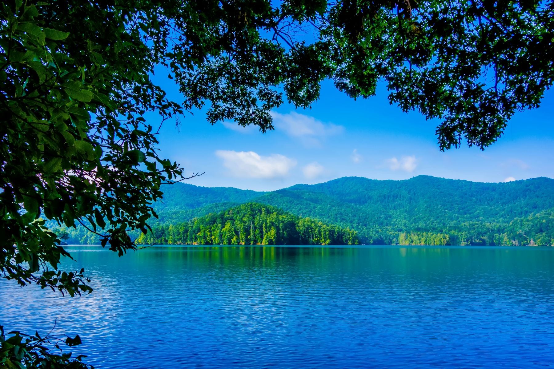 TVA Drawdown and Lake Homes Near Murphy, NC | Bonnie DuPree