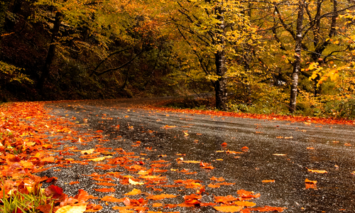 Peak-Color Weekend From Murphy, NC: My Favorite Fall &hellip;
