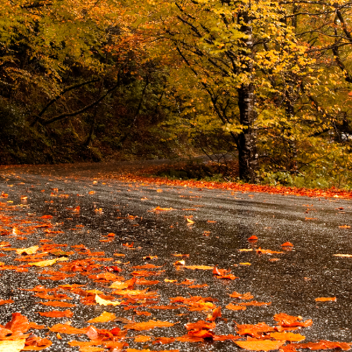 Peak-Color Weekend From Murphy, NC: My Favorite Fall Drives Close to Home