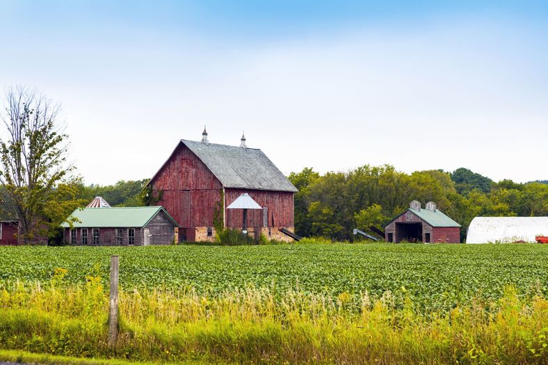 American Farmland With Blue Cloudy Sky
