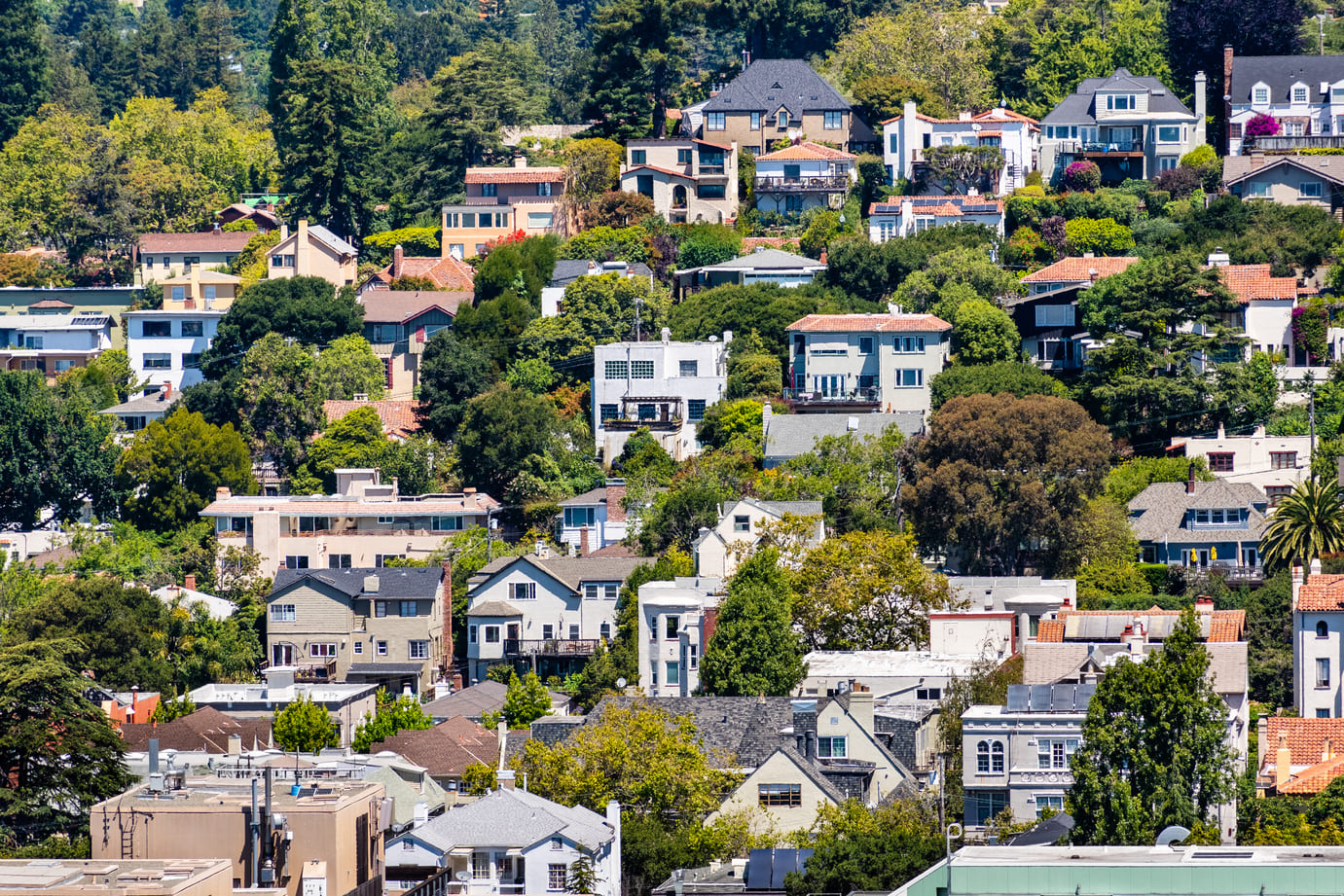 Berkeley _ View _ Neighborhood 1 (2) (1)