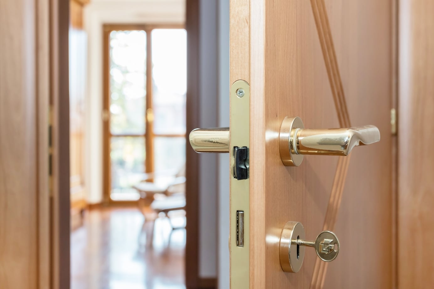 Modern,Door,Knob,Close-up,To,The,Livingroom,,Home,Concept,New.