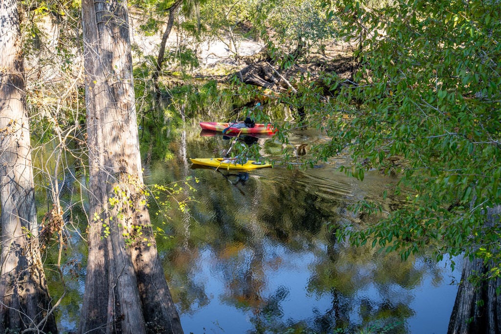 Cypress-lined banks of the Black River at 11 Gulley Ln, Salters SC