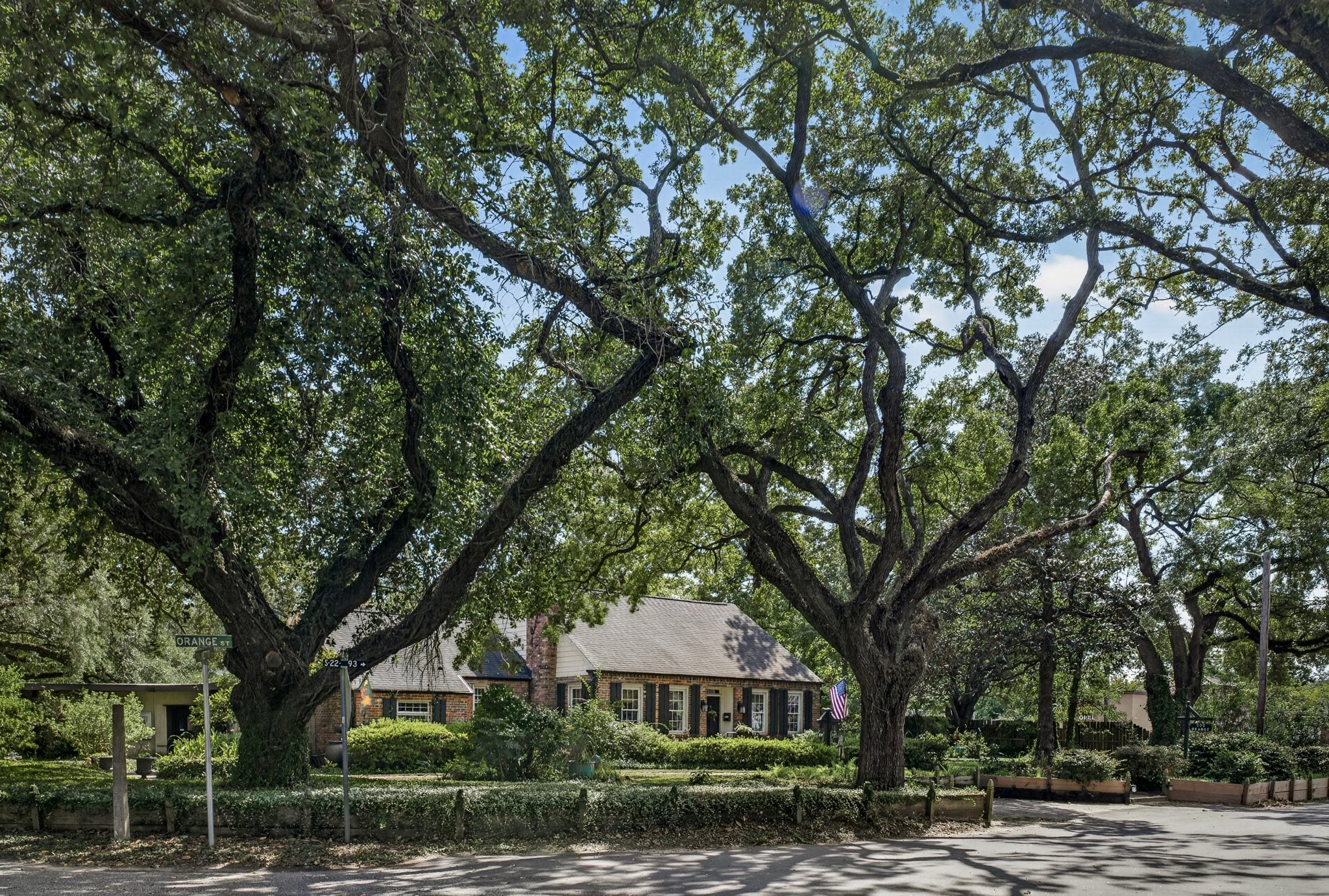 Live oaks shading a street in the Willowbank neighborhood of Georgetown SC