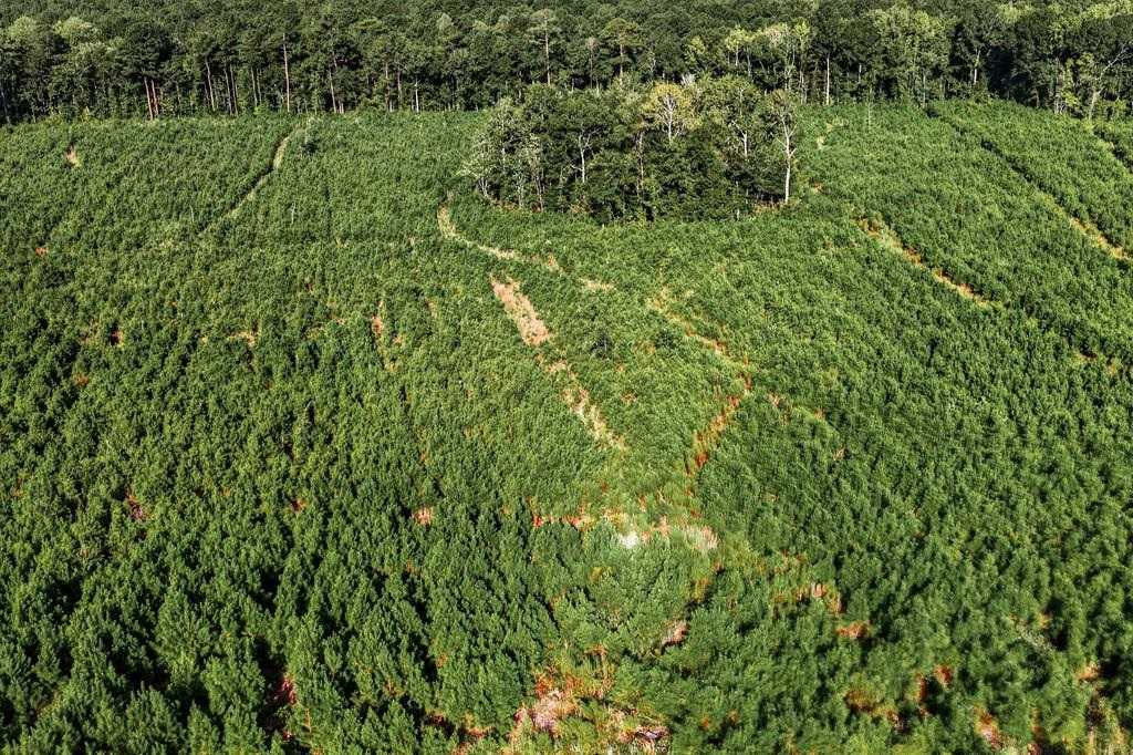 Aerial view of the land at TBD Albatross Rd