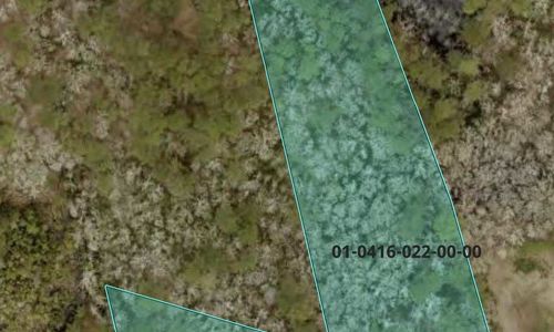 TBD Kent Rd: Four Acres, Seen From Above