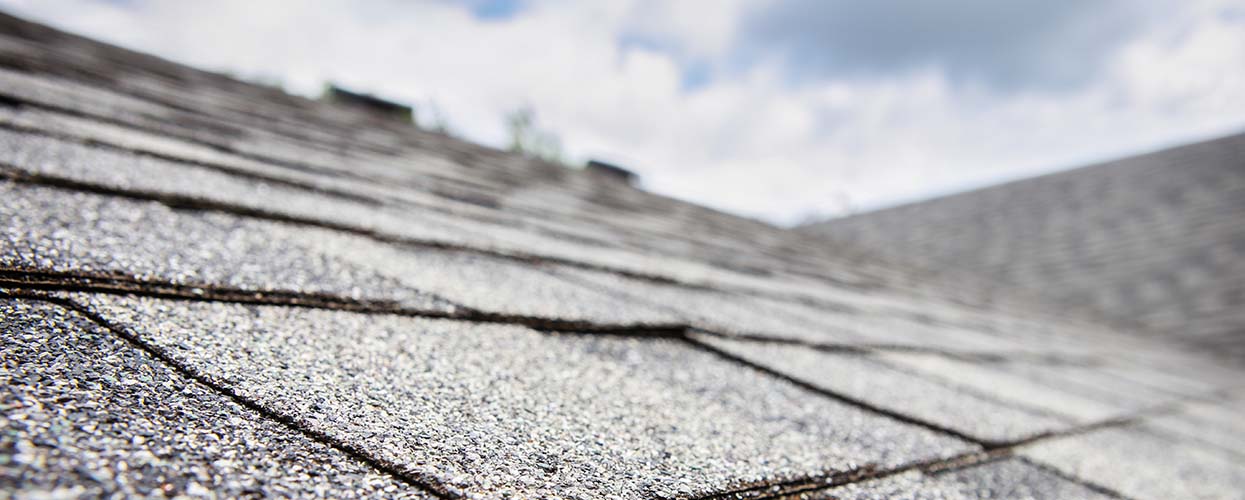 Replacement Roof