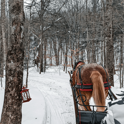10 Winter Activities for Kids in Idaho Falls