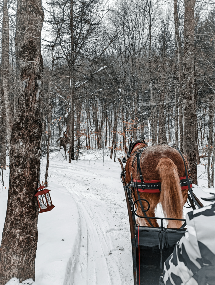 10 Winter Activities for Kids in Idaho Falls (2)