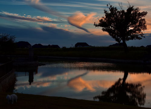 Pond in Prosper, Texas