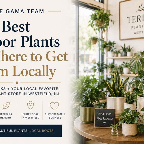 Best Indoor Plants & Terrace Plant Shop: Westfield NJ Guide