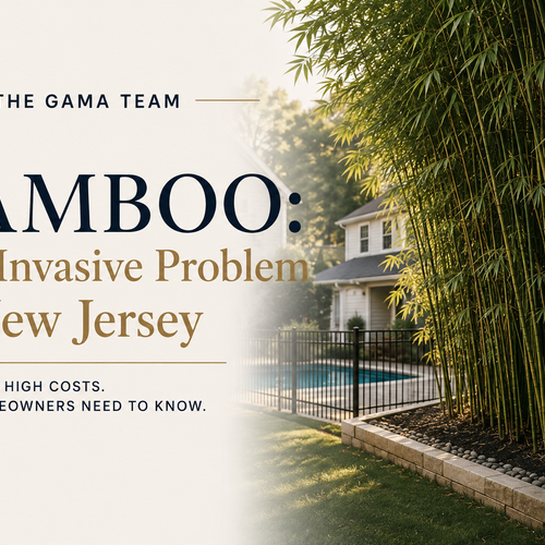 NJ Bamboo Laws & Removal Costs: What Buyers and Sellers Need to Know