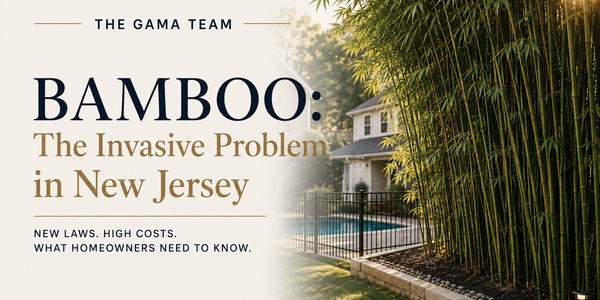 NJ Bamboo Laws & Removal Costs: What Buyers &hellip;