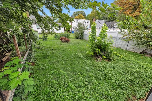 20_backyard