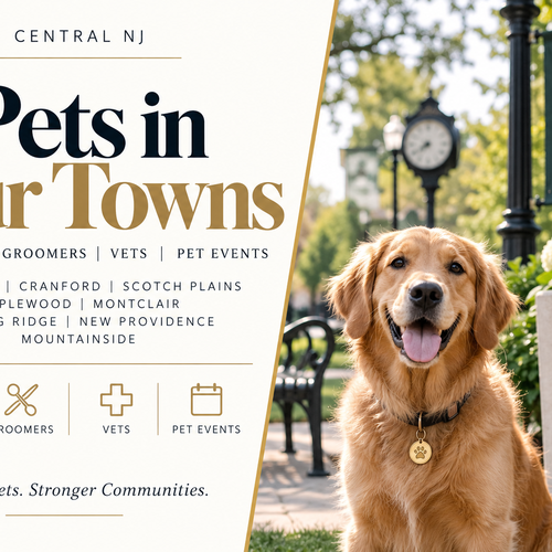 Dog parks, groomers, vets, and pet events in Westfield, Cranford, Scotch Plains, Maplewood, Montclair, Basking Ridge, New Providence & Mountainside.