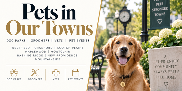 Dog parks, groomers, vets, and pet events in &hellip;