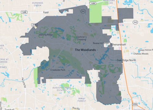 the woodlands.png