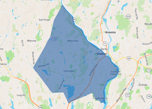 shelton.png