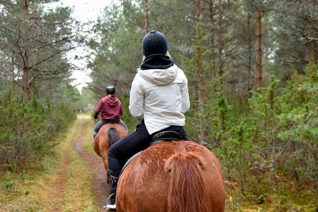 Riders on horseback along a wooded trail near Waxhaw, NC