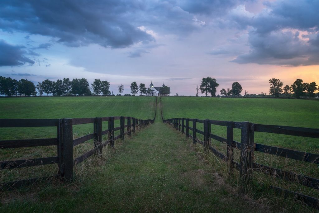 Board-fenced horse pasture on a Waxhaw, NC farm at dusk